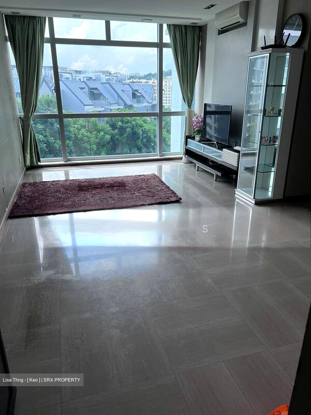 Hillview Regency (D23), Condominium #502140571